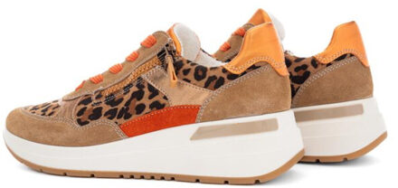 Ara 12-57702 garda Bruin - 39