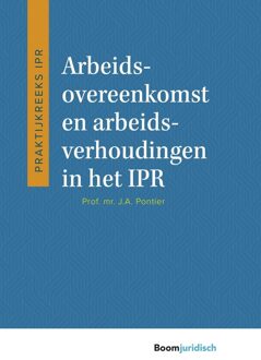 Arbeidsovereenkomst en arbeidsverhoudingen in het IPR - J.A. Pontier - ebook