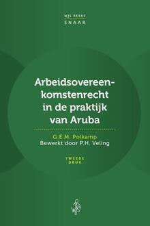 Arbeidsovereenkomstenrecht in de praktijk van Aruba - G.E.M. Polkamp (ISBN: 9789493458215)