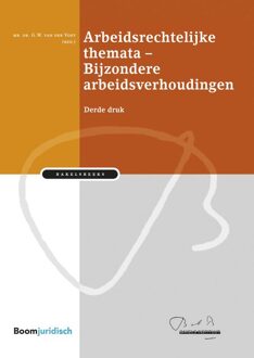 Arbeidsrechtelijke themata - Bijzondere arbeidsverhoudingen - - ebook