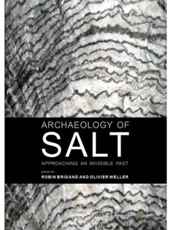 Archaeology of salt - Boek Sidestone Press (9088903034)