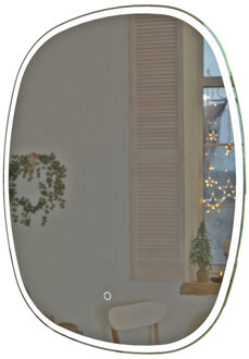 Arcqua Loft Spiegel - 65x80cm - ovaal - verticaal - front LED SPI998211 Naturel (Grijs)