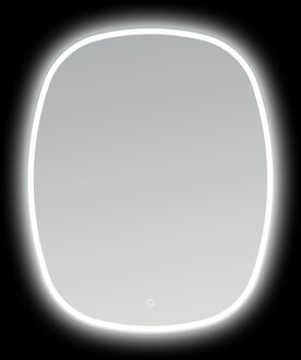 Arcqua Spiegel Arcqua Loft 65x80 cm Ovaal Verticaal met LED Verlichting