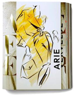 Arie Forever -  Martijn Homan, Melvin Anderson (ISBN: 9789462265356)