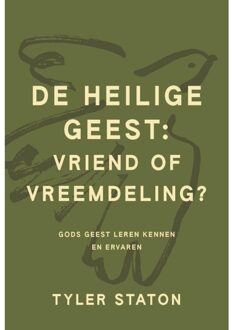Ark Media De Heilige Geest: vriend of vreemdeling? - Tyler Staton - ebook