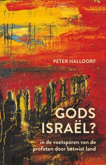 Ark Media Gods Israël? - Peter Halldorf - ebook