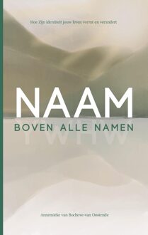Ark Media Naam boven alle namen - Annemieke van Bochove-van Oostende - ebook