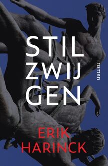 Ark Media Stilzwijgen - Erik Harinck - ebook