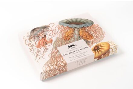 Art Forms In Nature - Correspondence Set - Pepin van Roojen
