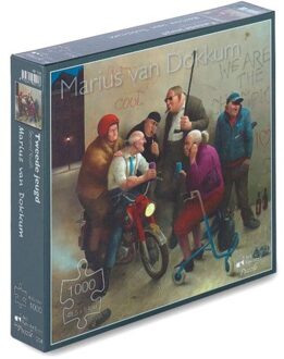 Art Revisited Tweede Jeugd - Marius van Dokkum (990)