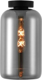 Artdelight Plafondlamp Botany Zwart & Smoke Glas 18cm Zilver, Zwart