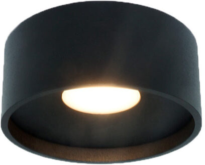 Artdelight Plafondlamp Oran Ø 12 cm zwart