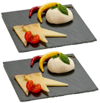 Arte r 2x stuks leisteen serveerplanken 20 x 20 cm