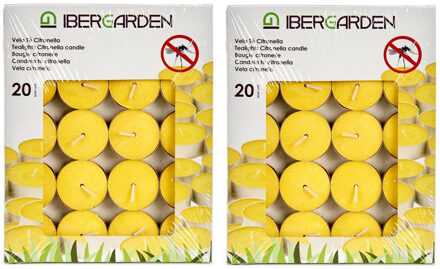 Arte r Geurkaarsen/waxinelichten - 40x - citronella - citrusgeur