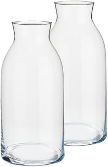 Arte r Giftdecor Bloemenvaas - Set van 2x stuks - van glas - 15 x 31 cm - Glazen transparante cilinder vaze