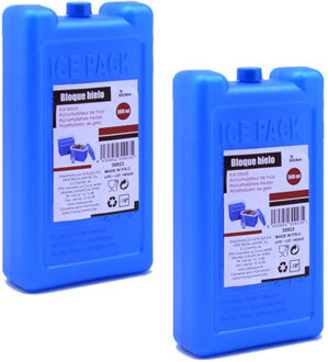 Arte r Koelelementen extra dik - 4x - blauw - 10 x 4 x 18 cm - Koelblokken - voor koeltas/koelbox