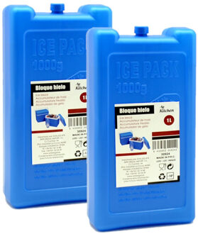 Arte r Koelelementen groot blok - 4x - 1000 ml - 11 x 5 x 22 cm - blauw - voor koeltas/koelbox