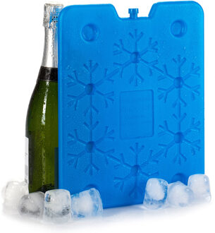 Arte r Koelelementen plat - 26 x 2 x 32 cm - blauw - 800 gram