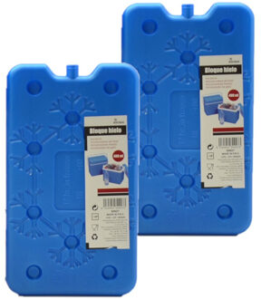 Arte r Koelelementen plat - 2x - 14 x 2 x 25 cm - blauw - 400 gram