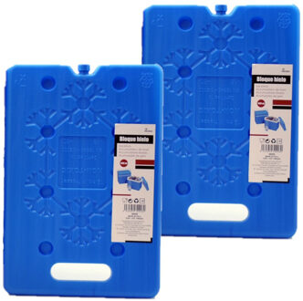 Arte r Koelelementen plat - 2x - kunststof - 20 x 2 x 30 cm - blauw