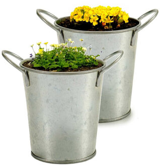 Arte r Plantenpot/bloempot emmer - 2x - rond - zink - zilver - D12 x H16 cm