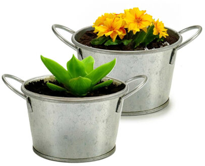 Arte r Plantenpot/bloempot teil - 2x - rond - zink - zilver - D12 x H17 cm