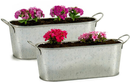 Arte r plantenpot/bloempot teil- 2x - zink - zilver - L32,8 x D11 x H11 cm - Plantenpotten Zilverkleurig