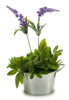 Arte r Plantenpot/bloempot teil - rond - zink - zilver - D12 x H17 cm