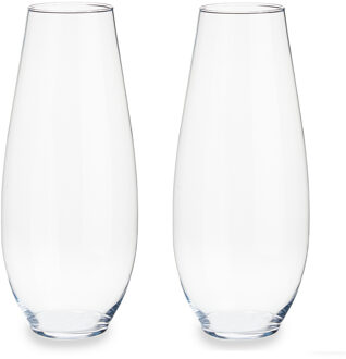 Arte r Set van 2x stuks bloemenvazen van glas 17 x 39 cm