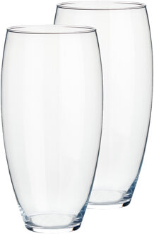 Arte r Set van 2x stuks bloemenvazen van glas 18 x 36 cm