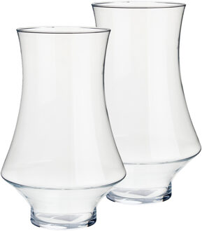 Arte r Set van 2x stuks bloemenvazen van glas 20 x 31 cm