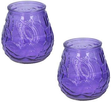 arti casa Set van 5x stuks Citronella lowboy tuin kaarsen in paars glas 10 cm - Anti muggen/insecten artikelen