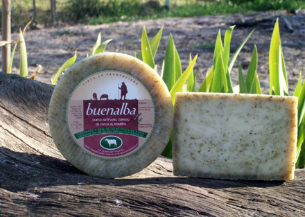 Artisan cheese from sheep to rosemary inside. Sheep to herbs (1KG)