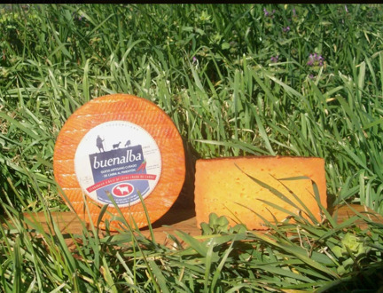 Artisan goat and sheep cheese to paprika. Orange cheese-BUENALBA-3 KG