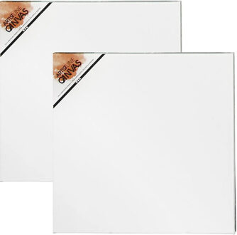 Artist & Co Schildersdoek - 2x - 50 x 50 cm - vierkant - canvas - hobby verven/schilderen