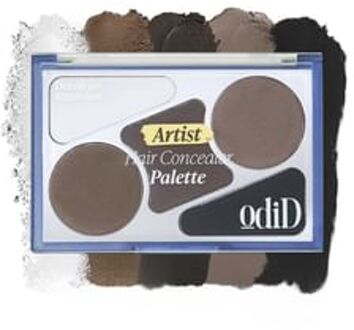 Artist Hair Concealer Palette 12.9g