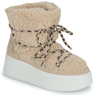 Ash Chunky Suède Veterschoenen ASH , Beige , Dames - 39 EU