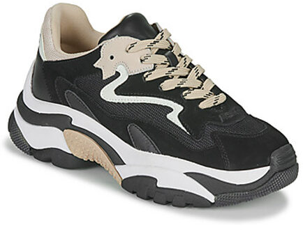 Ash Hoge Sneakers Ash  ADDICT