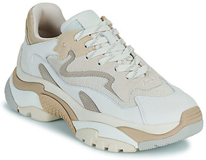 Ash Lage Sneakers Ash ADDICT" Beige - 36,37,38,39,40,41