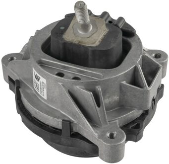 Aslichaam-/motorsteunlager