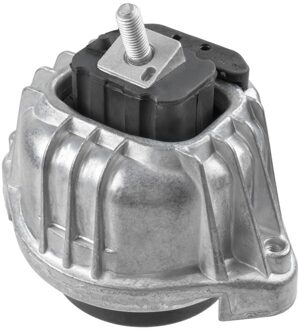 Aslichaam-/motorsteunlager