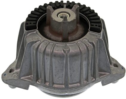 Aslichaam-/Motorsteunlager