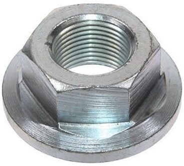 Asmoer, aandrijfas / cardanas