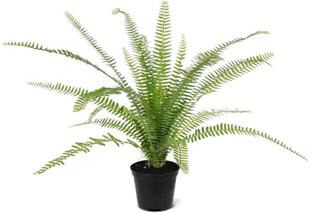 Asplenium Varen 75 cm - Kunstplant