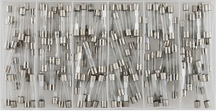 Assortiment glaszekeringen 120 stuks