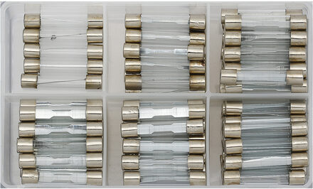 Assortiment glaszekeringen 95 stuks 4822338