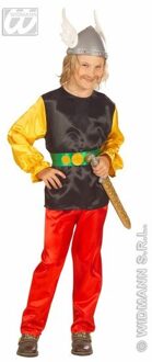 Asterix pak kind Havard