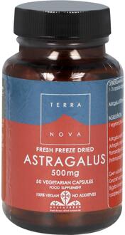 Astragalus 500 mg - 50 vegicaps - Kruidenpreparaat - Voedingssupplement