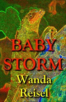 Atlas Contact Baby Storm - eBook Wanda Reisel (9025442749)