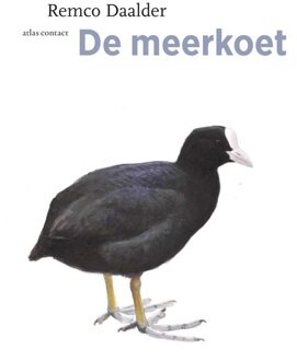 Atlas Contact Meerkoet - eBook Remco Daalder (9045030268)